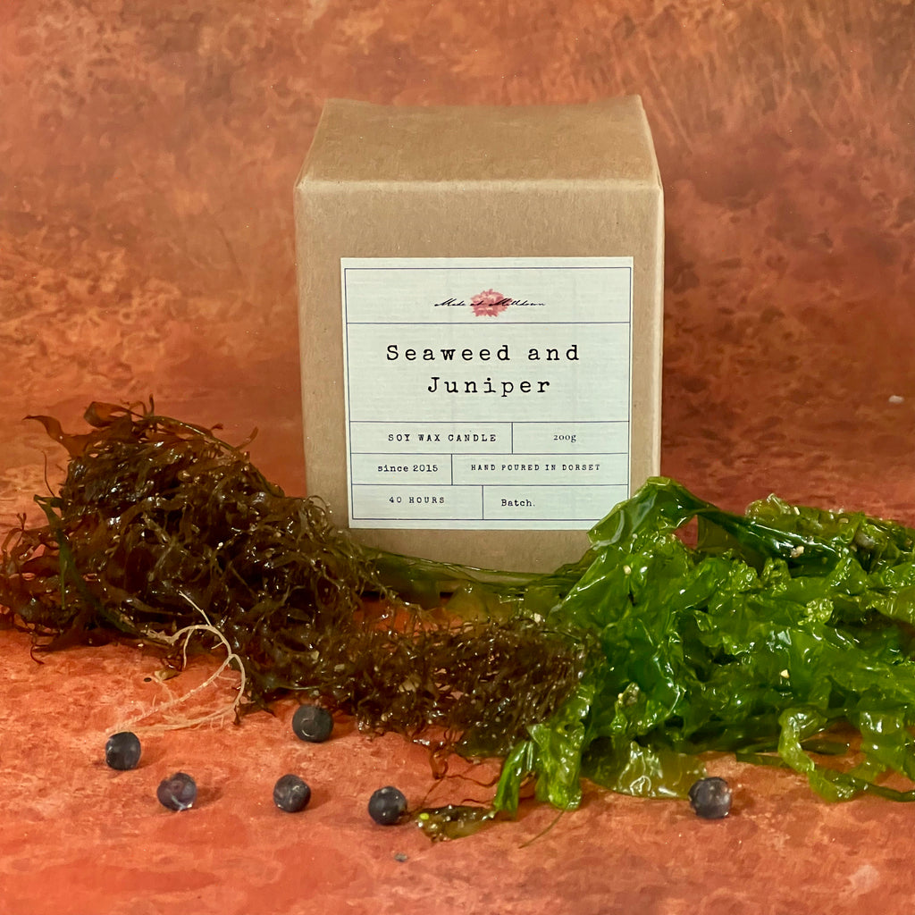 SEAWEED AND JUNIPER CANDLE